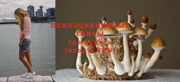 ALPHA-PVP Заводоуковск